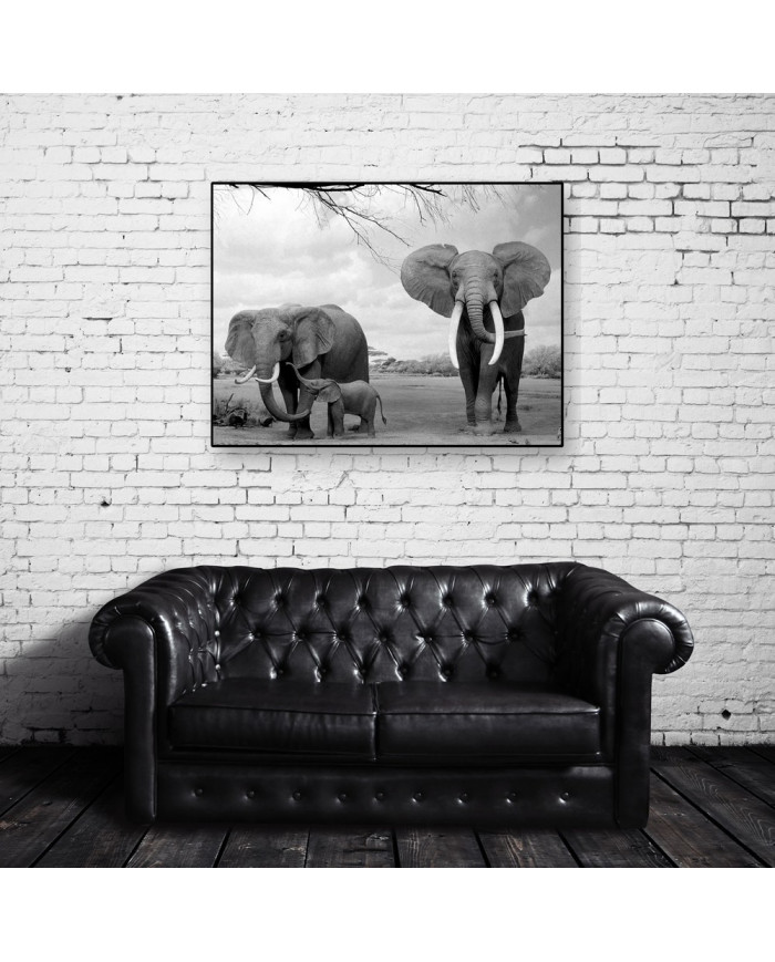 Elefantes con su cría, Parque Nacional Moremi, Botswana