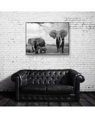 Elefantes con su cría, Parque Nacional Moremi, Botswana