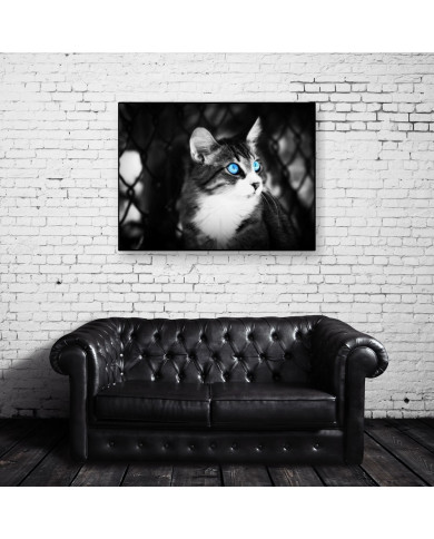 Gato Gato