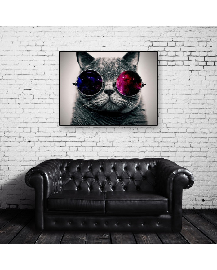 Gato con gafas 3D