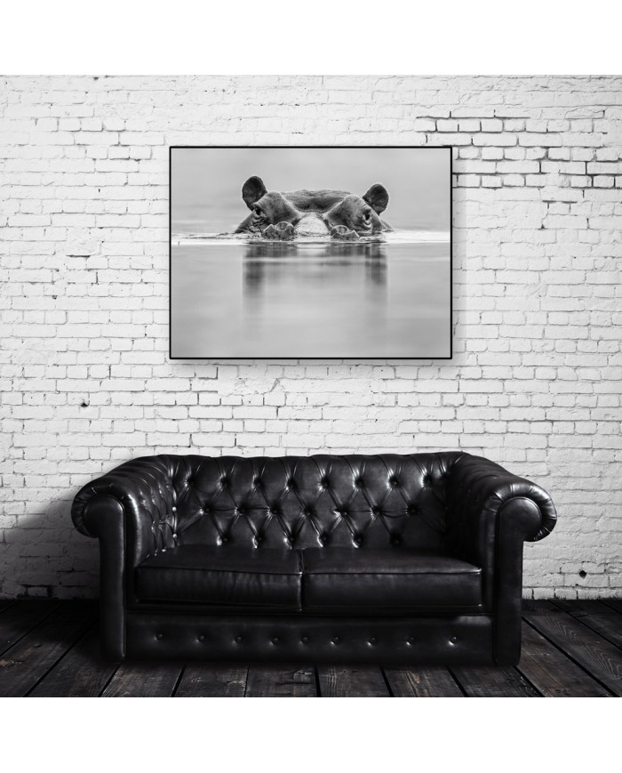 Hipopótamo, Parque Nacional Masai Mara, Tanzania