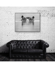 Hipopótamo, Parque Nacional Masai Mara, Tanzania