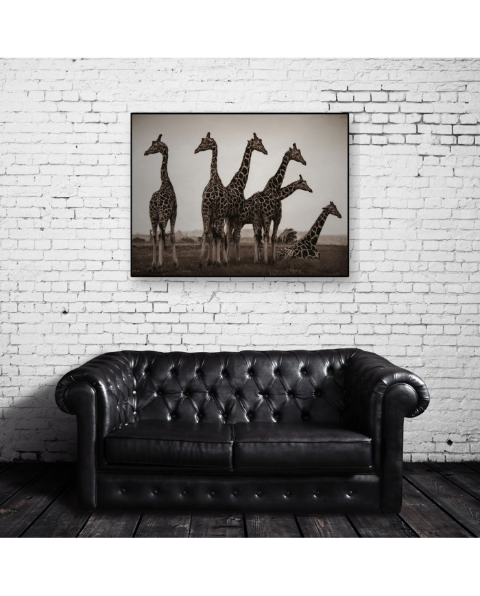 Jirafas en el Parque Nacional Kruger, SudÁfrica