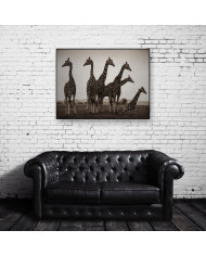 Jirafas en el Parque Nacional Kruger, SudÁfrica