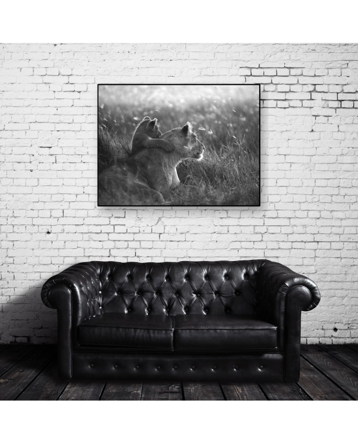 Leona con su cachorro, Parque Nacional Masai Mara, Tanzania