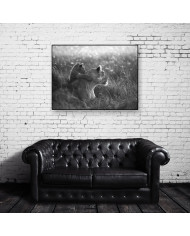 Leona con su cachorro, Parque Nacional Masai Mara, Tanzania