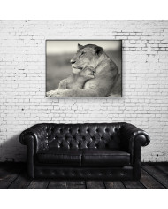 Leona con su cría, Parque Nacional Masai Mara, Tanzania