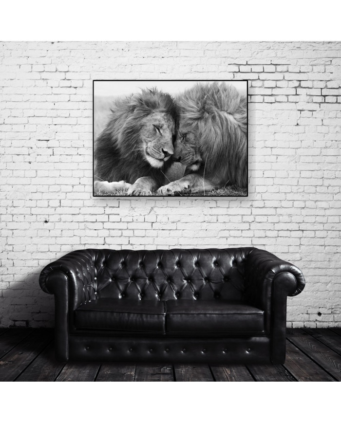 Leones, Parque Nacional Serengueti, Tanzania