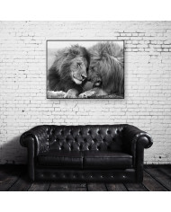 Leones, Parque Nacional Serengueti, Tanzania