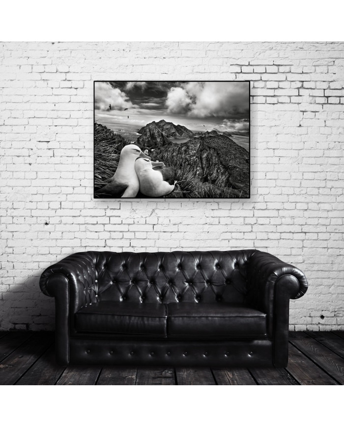 Libertad en los aires