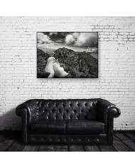 Libertad en los aires