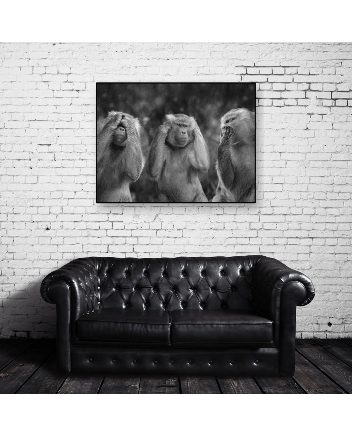 Los tres monos sabios, San Saru