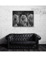 Los tres monos sabios, San Saru