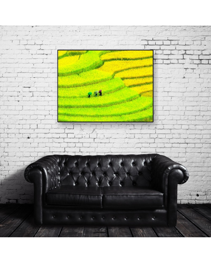 Prados cultivados, China