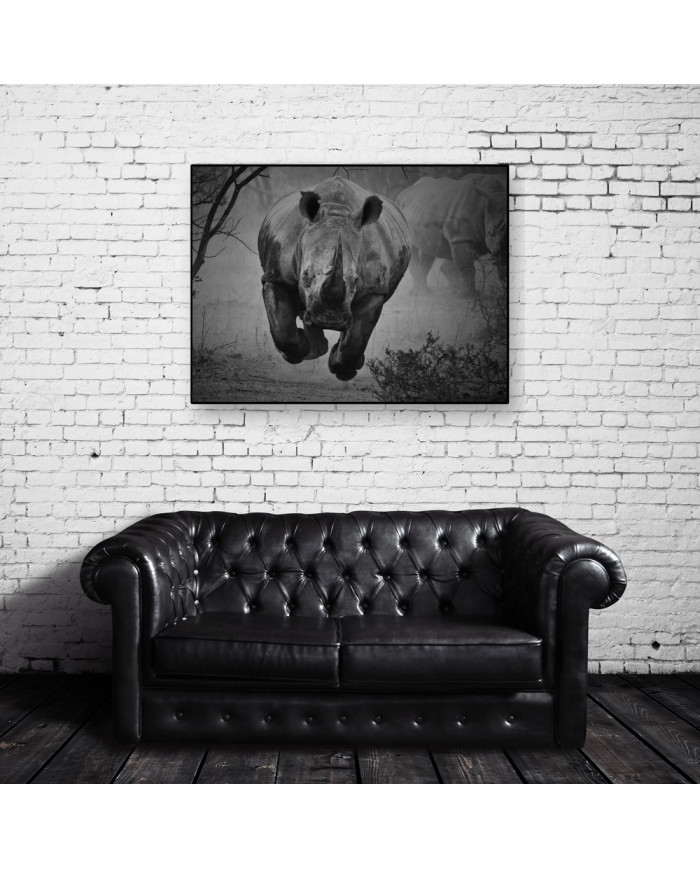 Rinoceronte en estampida, Parque Nacional Kruger, SudÀfrica