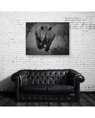 Rinoceronte en estampida, Parque Nacional Kruger, SudÀfrica