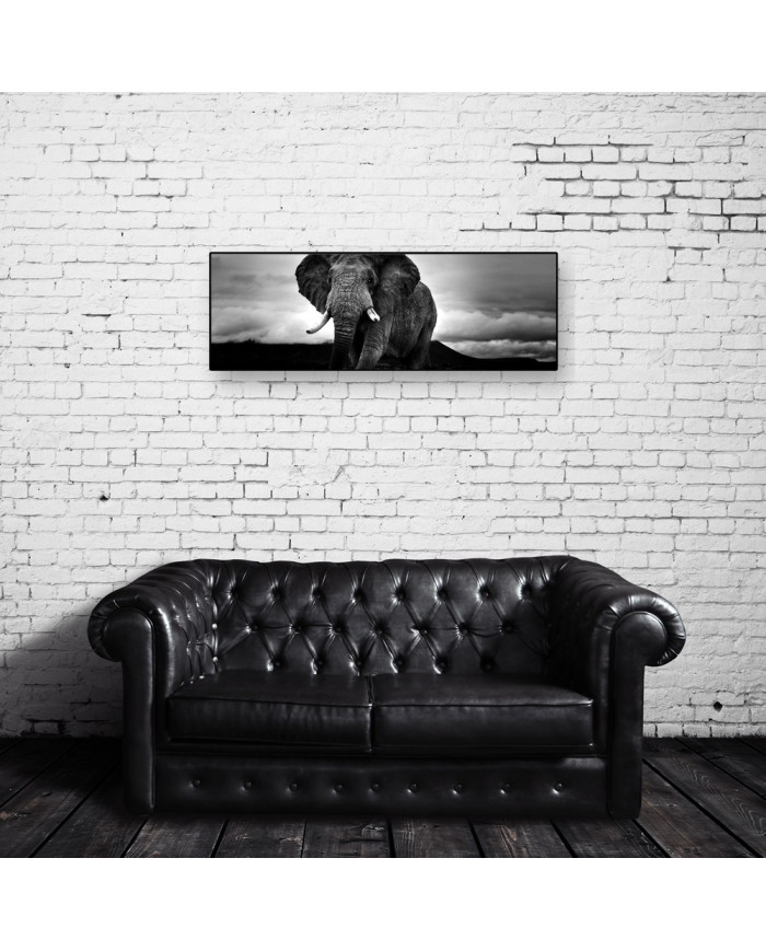 Vista panorámica de un elefante en el parque natural de Ngorongoro, Tanzania