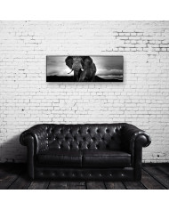 Vista panorámica de un elefante en el parque natural de Ngorongoro, Tanzania