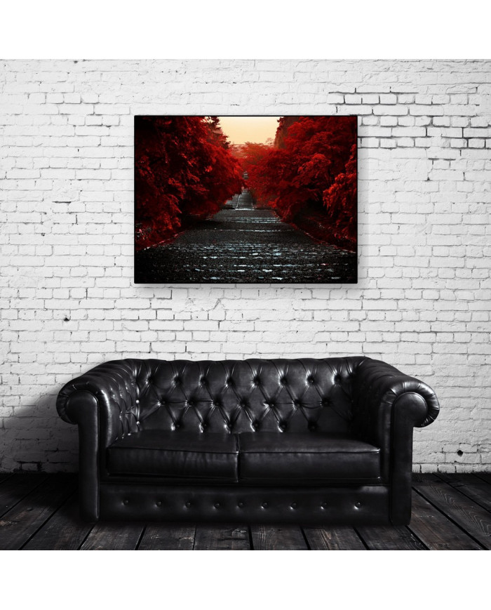 Camino de la Isla Honshu,Japón