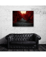 Camino de la Isla Honshu,Japón