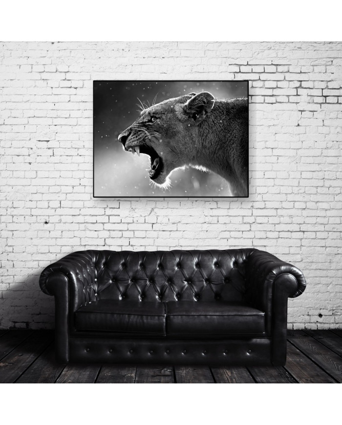 Retrato de una leona, Parque Nacional Kruger, SudÁfrica