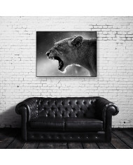 Retrato de una leona, Parque Nacional Kruger, SudÁfrica