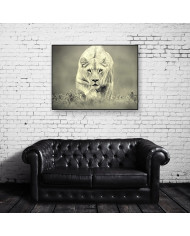 Leona cazando,Parque Nacional Hwange,Zimbabue