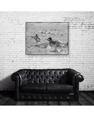 Steve Mcqueen y Neilie Adams, practicando en el desierto de California, 1963