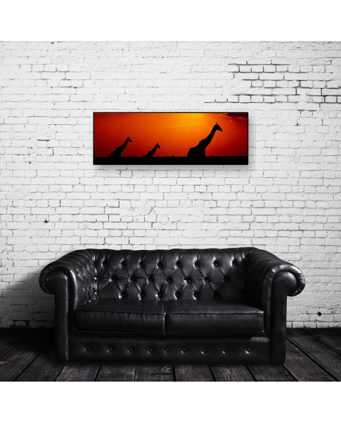 Vista panorámica de jirafas en el parque natural de Kruguer , Sudáfrica