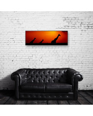 Vista panorámica de jirafas en el parque natural de Kruguer , Sudáfrica