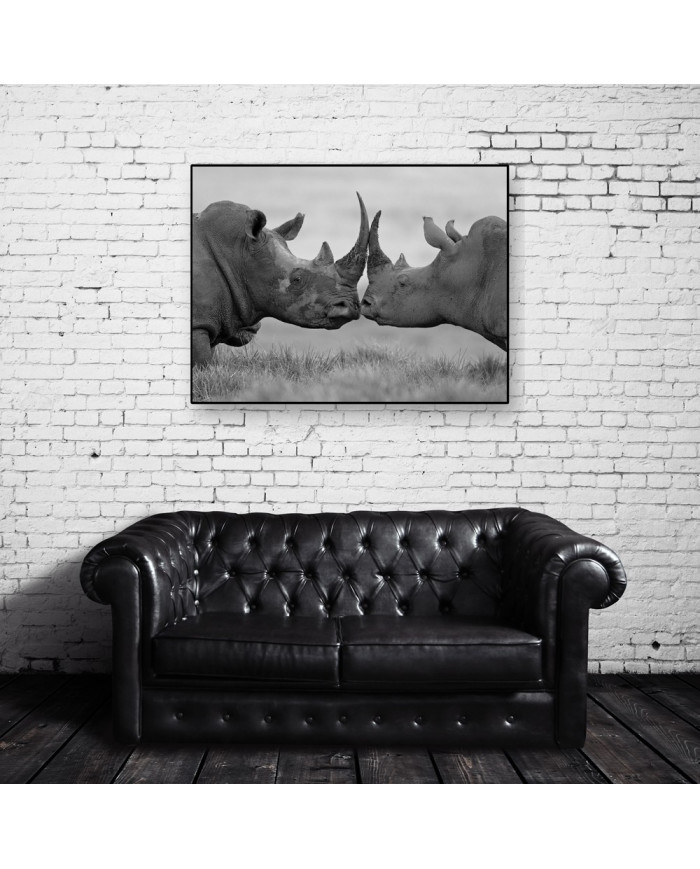 Rinocerontes  antes de la pelea, Parque Nacional Etosha, Namibia