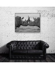 Rinocerontes  antes de la pelea, Parque Nacional Etosha, Namibia