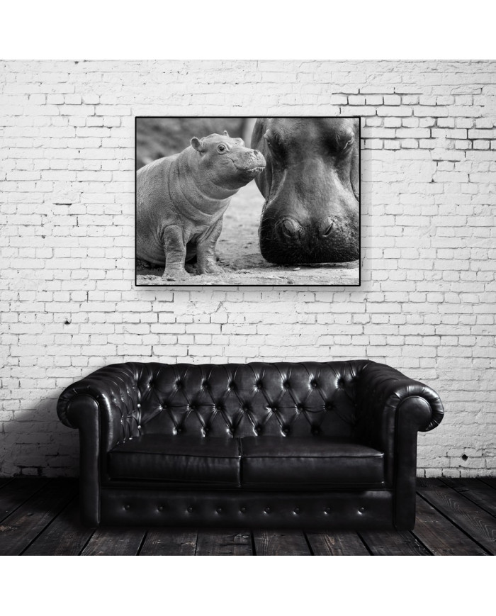 Hipopótamo con su cría en el Kruger National Park,Sudáfric