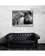 Hipopótamo con su cría en el Kruger National Park,Sudáfric