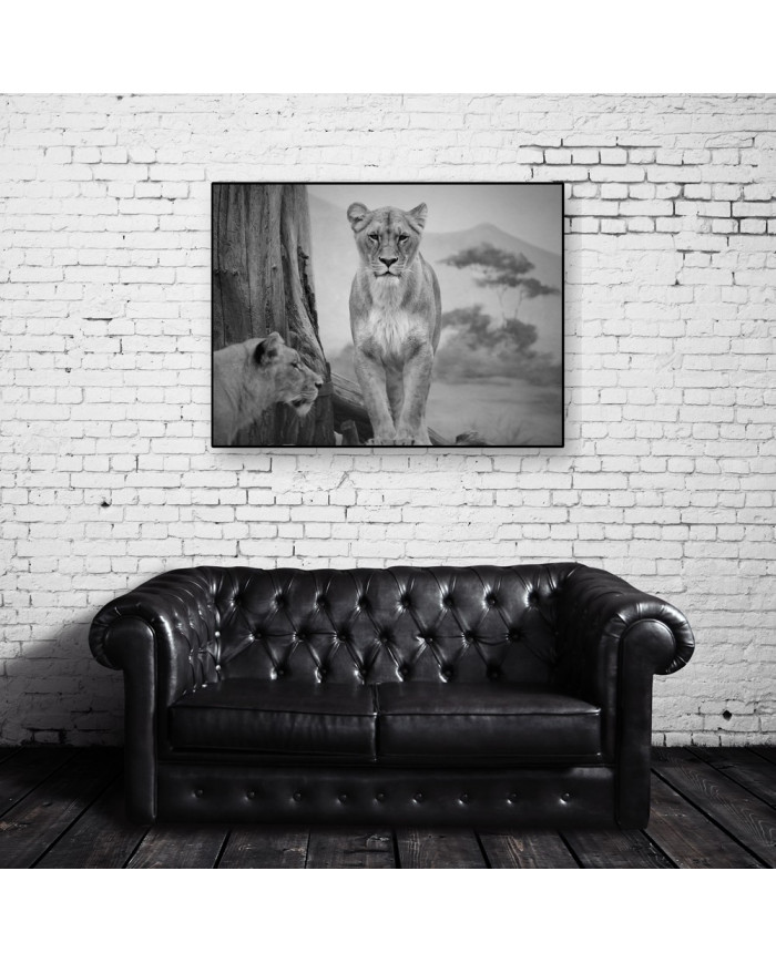 Pareja de Leonas, Parque Nacional Serengueti, Tanzania