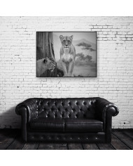 Pareja de Leonas, Parque Nacional Serengueti, Tanzania