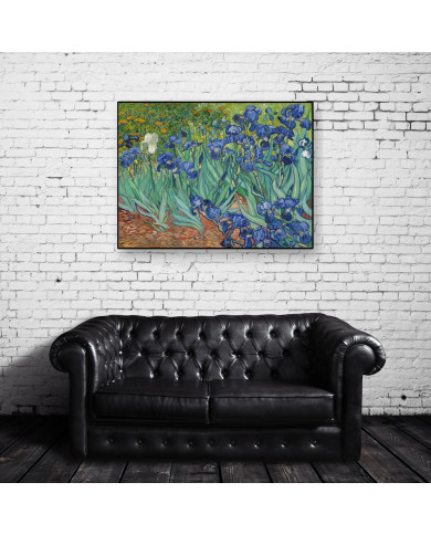 Vicent Van Gogh, Lirios Vicent Van Gogh, Lirios