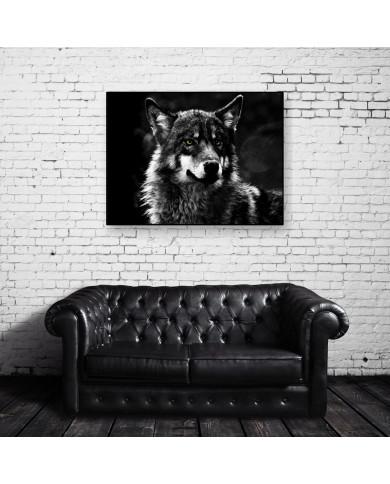 Lobo Lobo