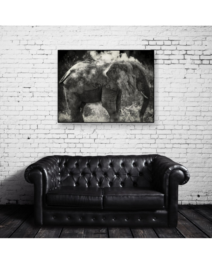 Elefante limpiándose,Parque Nacional Etosha,Namibia