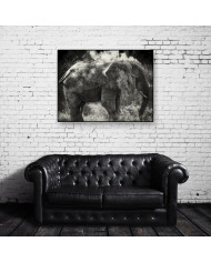 Elefante limpiándose,Parque Nacional Etosha,Namibia