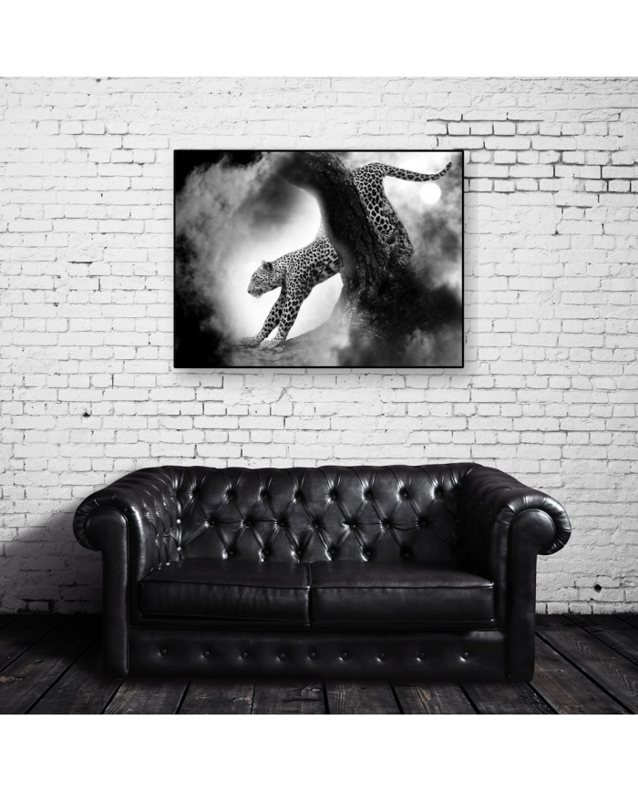 Leopardo cazando,Parque Nacional Kruger,SudÁfrica