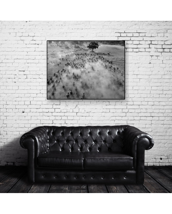 Migracion de animales,Parque Nacional Serengueti,Tanzania