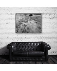 Migracion de animales,Parque Nacional Serengueti,Tanzania