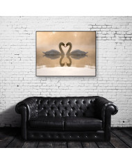 Pareja de cisnes amorosos