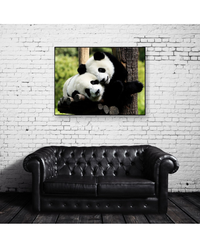 Pareja de osos panda