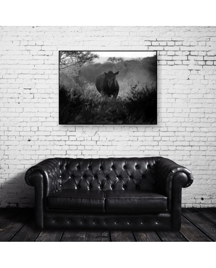 Rinoceronte,Parque Nacional Kruger,SudÀfrica