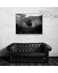 Rinoceronte,Parque Nacional Kruger,SudÀfrica