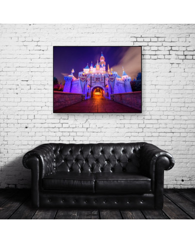 Sleeping Beauty Castle,Disneyland Sleeping Beauty Castle,Disneyland