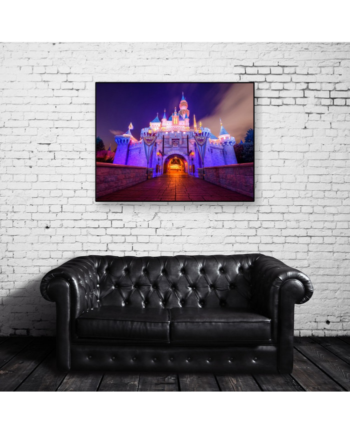 Sleeping Beauty Castle,Disneyland