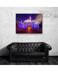 Sleeping Beauty Castle,Disneyland